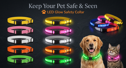 High-Visibility Rechargeable LED Dog Collar
