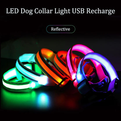 High-Visibility Rechargeable LED Dog Collar