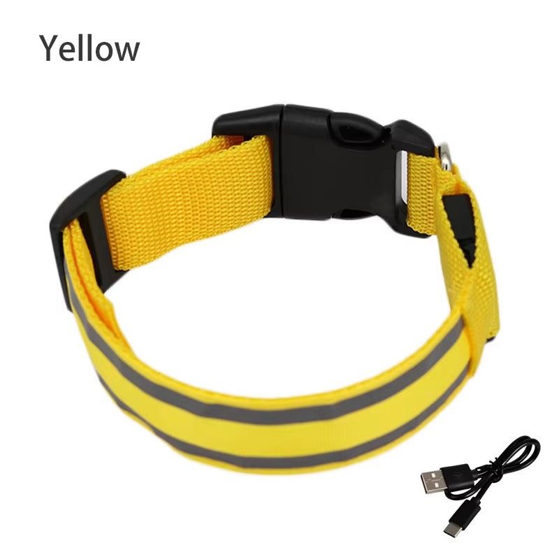 High-Visibility Rechargeable LED Dog Collar