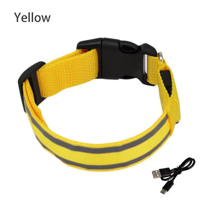 High-Visibility Rechargeable LED Dog Collar