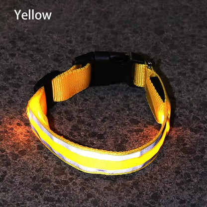 High-Visibility Rechargeable LED Dog Collar