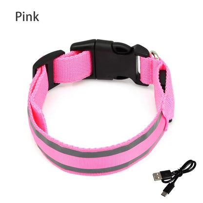 High-Visibility Rechargeable LED Dog Collar