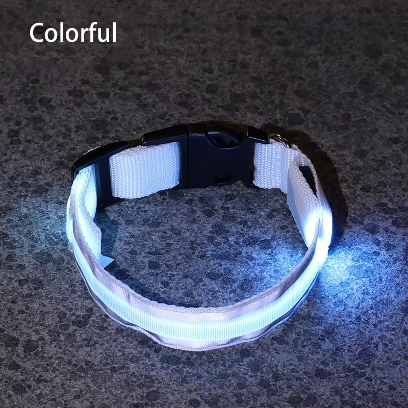 High-Visibility Rechargeable LED Dog Collar