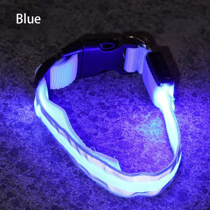 High-Visibility Rechargeable LED Dog Collar