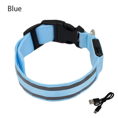 High-Visibility Rechargeable LED Dog Collar