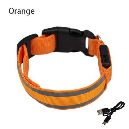 High-Visibility Rechargeable LED Dog Collar