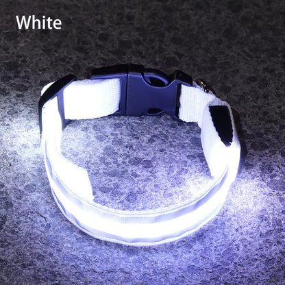 High-Visibility Rechargeable LED Dog Collar