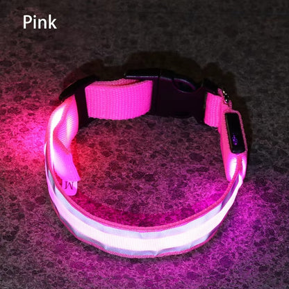 High-Visibility Rechargeable LED Dog Collar