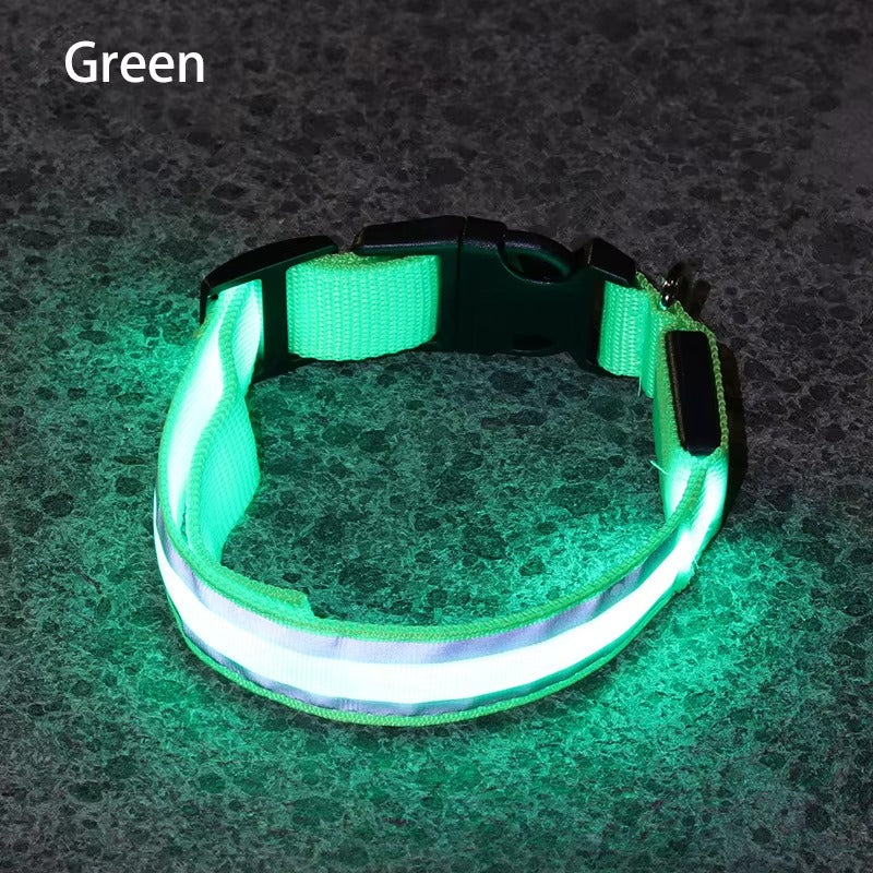 High-Visibility Rechargeable LED Dog Collar