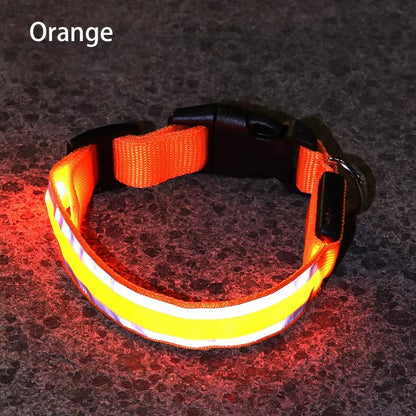 High-Visibility Rechargeable LED Dog Collar