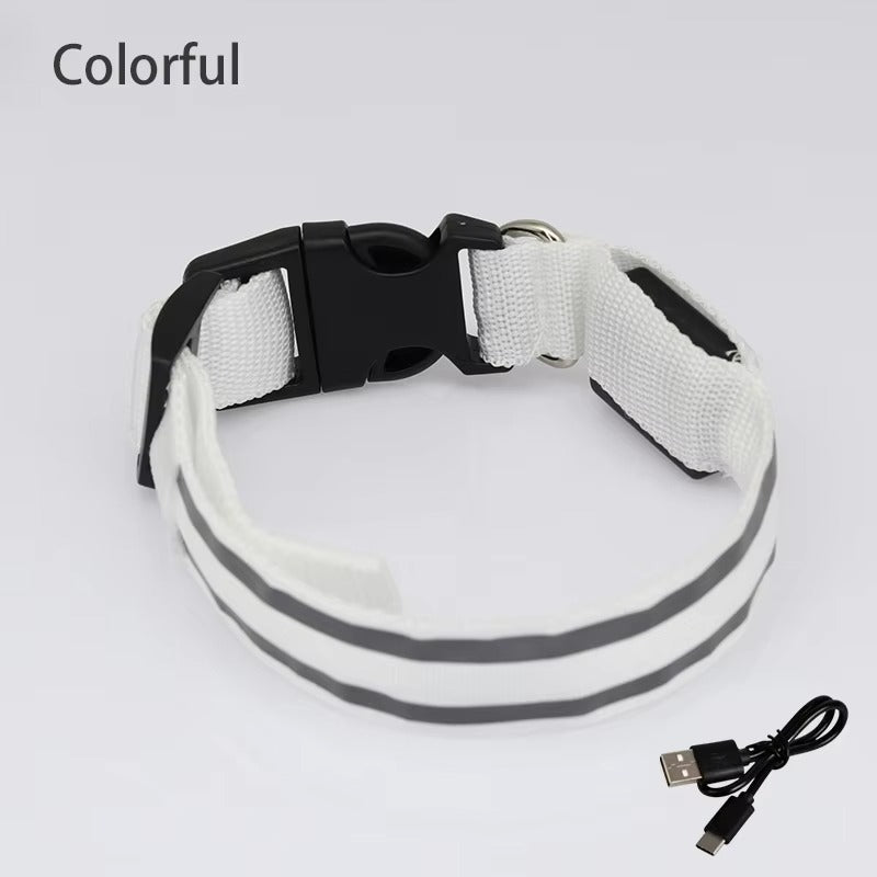 High-Visibility Rechargeable LED Dog Collar