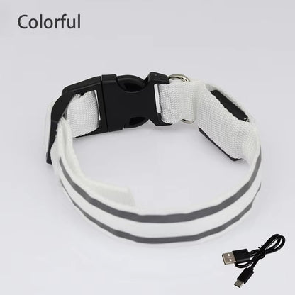 High-Visibility Rechargeable LED Dog Collar