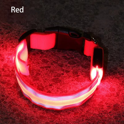 High-Visibility Rechargeable LED Dog Collar