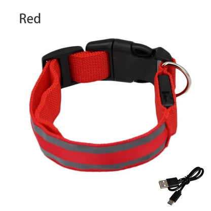 High-Visibility Rechargeable LED Dog Collar