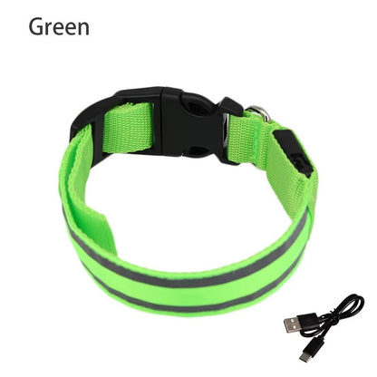High-Visibility Rechargeable LED Dog Collar