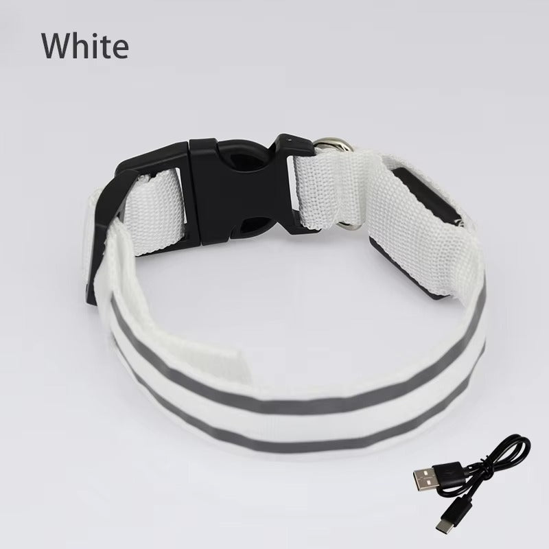 High-Visibility Rechargeable LED Dog Collar