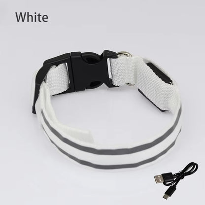 High-Visibility Rechargeable LED Dog Collar